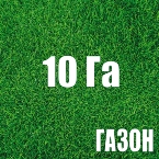 10 ��